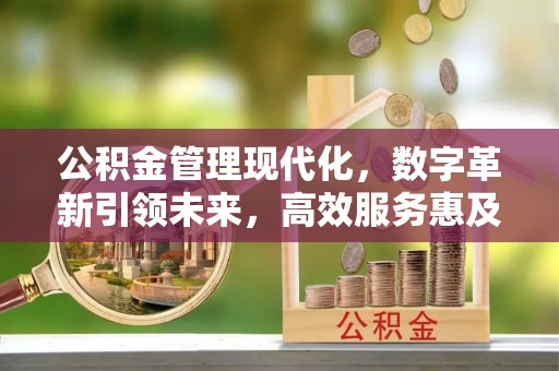 宁夏公积金管理现代化，数字革新引领未来，高效服务惠及民生