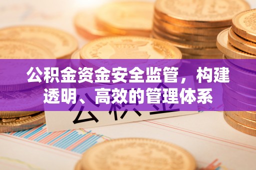 宁夏公积金资金安全监管，构建透明、高效的管理体系