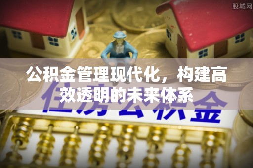 宁夏公积金管理现代化，构建高效透明的未来体系