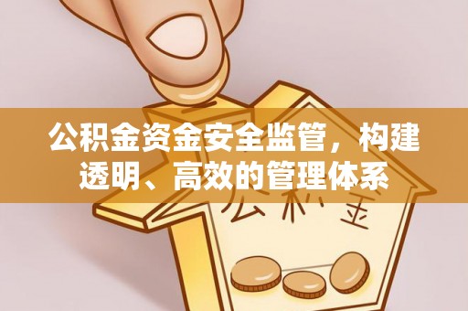 宁夏公积金资金安全监管，构建透明、高效的管理体系