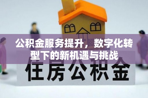 宁夏公积金服务提升，数字化转型下的新机遇与挑战