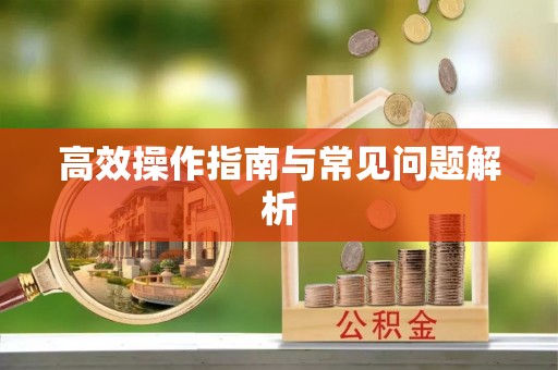 宁夏高效操作指南与常见问题解析