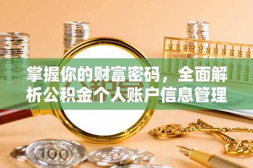 宁夏掌握你的财富密码，全面解析公积金个人账户信息管理与优化