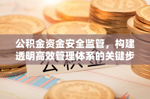 宁夏公积金资金安全监管，构建透明高效管理体系的关键步骤