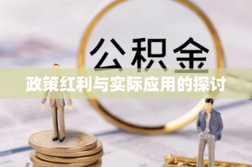 宁夏政策红利与实际应用的探讨