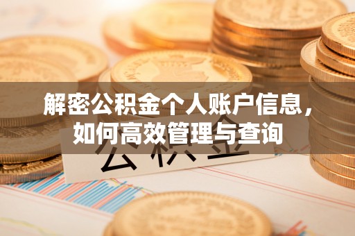 宁夏解密公积金个人账户信息，如何高效管理与查询
