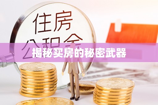 宁夏揭秘买房的秘密武器