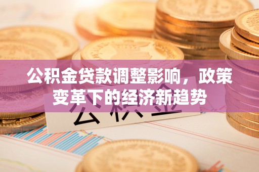宁夏公积金贷款调整影响，政策变革下的经济新趋势