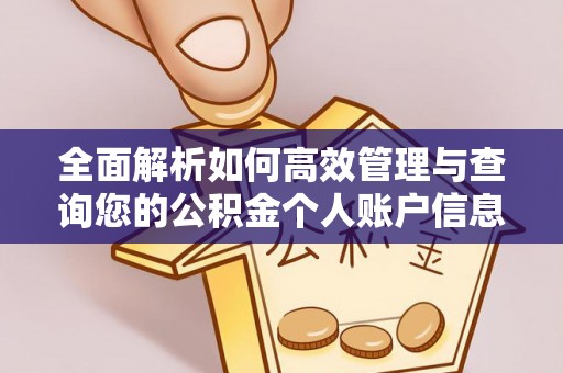 宁夏全面解析如何高效管理与查询您的公积金个人账户信息