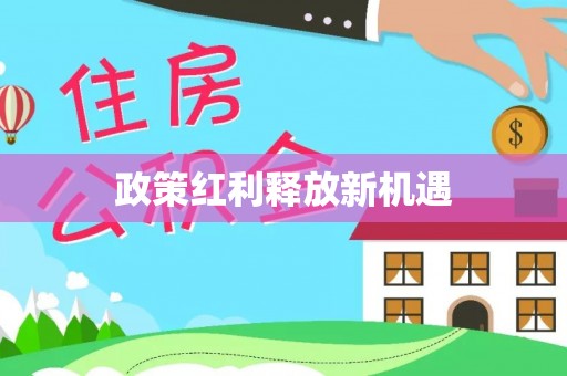 宁夏政策红利释放新机遇