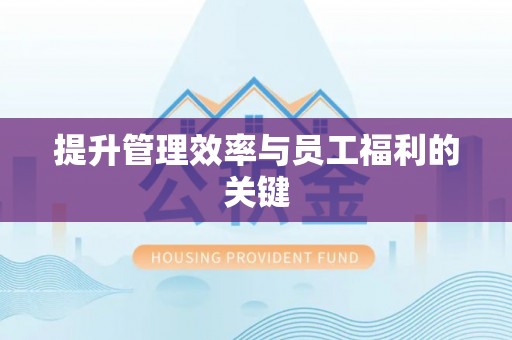 宁夏提升管理效率与员工福利的关键