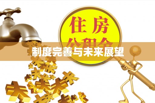 宁夏制度完善与未来展望