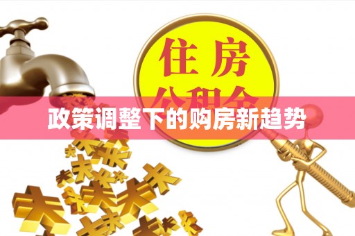 宁夏政策调整下的购房新趋势