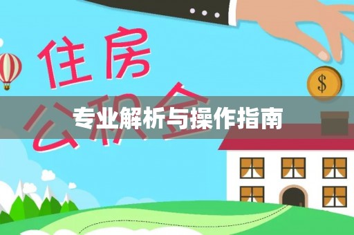 宁夏专业解析与操作指南