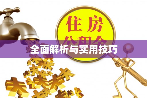 宁夏全面解析与实用技巧