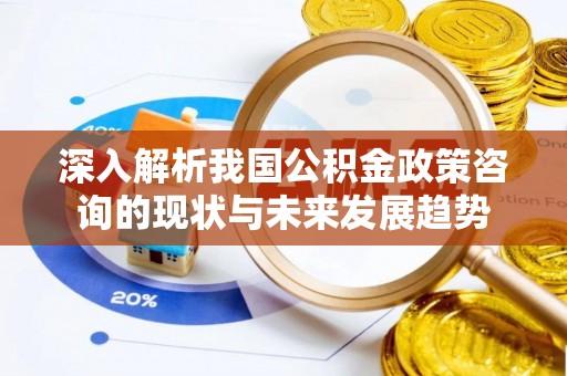 宁夏深入解析我国公积金政策咨询的现状与未来发展趋势