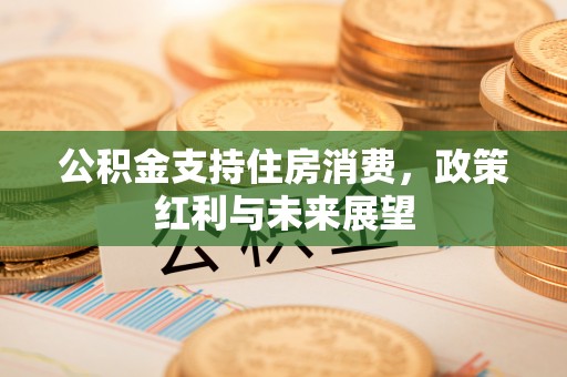 宁夏公积金支持住房消费，政策红利与未来展望