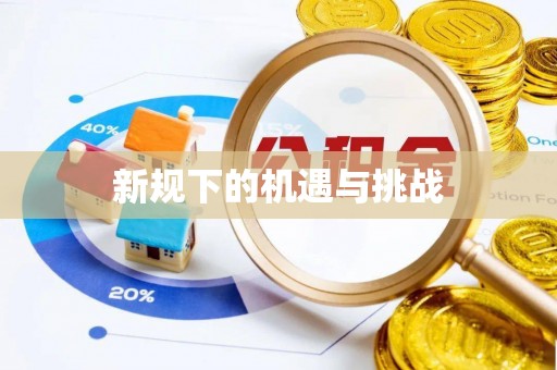 宁夏新规下的机遇与挑战
