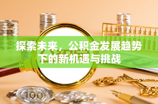 宁夏探索未来，公积金发展趋势下的新机遇与挑战