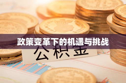 宁夏政策变革下的机遇与挑战