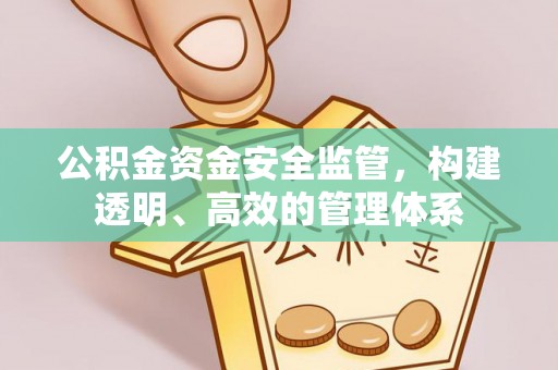宁夏公积金资金安全监管，构建透明、高效的管理体系