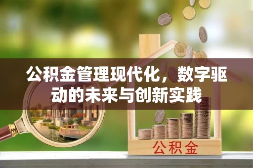 宁夏公积金管理现代化，数字驱动的未来与创新实践