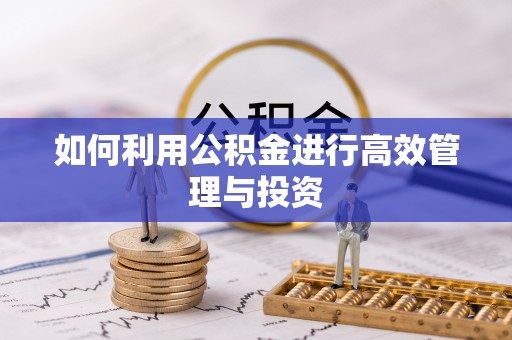 宁夏如何利用公积金进行高效管理与投资