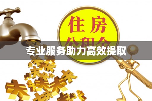 宁夏专业服务助力高效提取