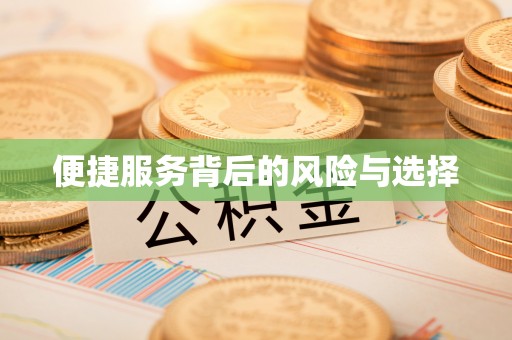 宁夏便捷服务背后的风险与选择