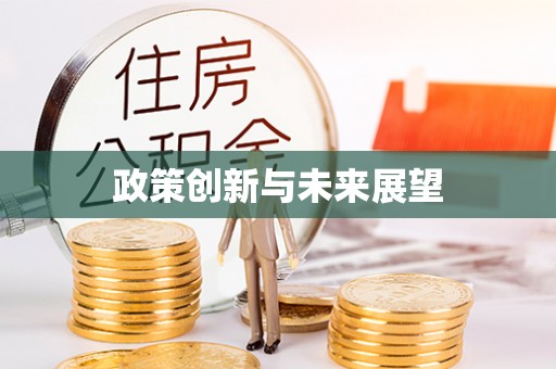 宁夏政策创新与未来展望