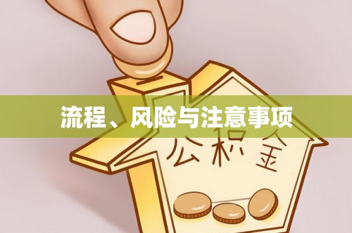 宁夏流程、风险与注意事项
